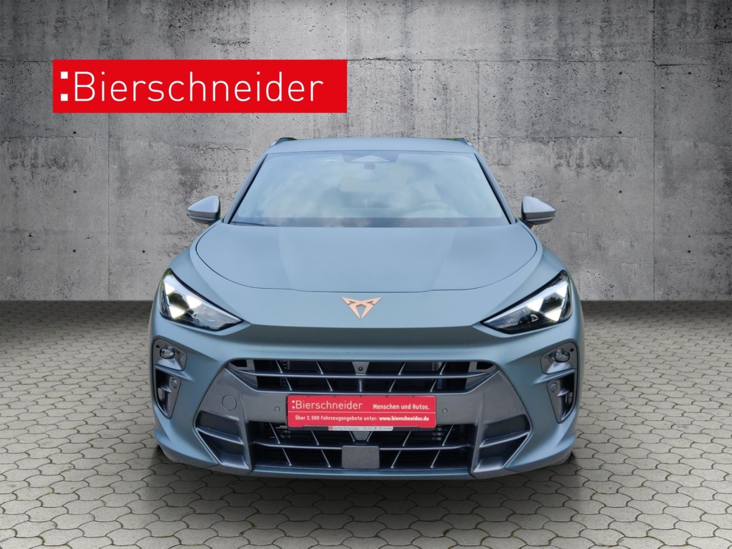 Cupra Terramar - Bild 2