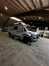 Challenger V114 road Edition  - Challenger Kastenwagen