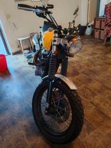 Triumph Scrambler 2006  - Angebote