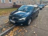 Volkswagen Golf 1.6 TDI Panoramadach Highl... - Volkswagen Golf: Kombi, Panoramadach