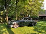 Jaguar MK II 2.4 Overdrive - Originalfahrz... - Jaguar: Mk2