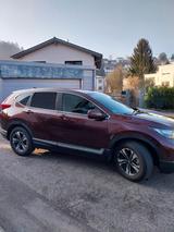 Honda CR-V 1.5 VTEC Turbo 2WD Comfort Comfort - Honda CR-V Comfort mit Benzin-Antrieb