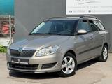 Skoda Fabia 1.2 TSI Family *ERST 118 TKM*KLIMA*ALU*PDC - Skoda Fabia: Beige