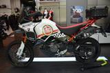 Ducati Desert X Rally - DUCATI X DESERT