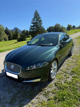 Jaguar XF 5.0 L V8 - NEUWERTIG 1.Hand - Jaguar: Grün