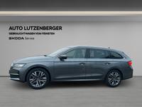 Skoda Octavia C. 1.5 TSI mHEV 110kW DSG 130 Jahre 5JGV