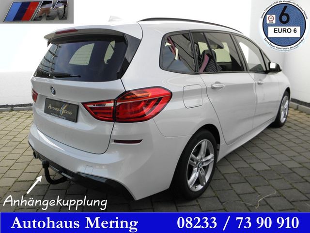 BMW 218iA MAero+Sportp Reling Privacy AHK