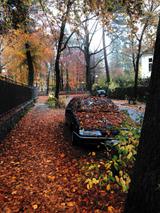 Citroën XM TCT - Citroën XM von privat