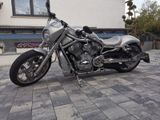Harley-Davidson VRod VRSCAW Einzelstück  - Angebote entsprechen deinen Suchkriterien