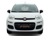 Fiat Panda Easy*Isofix*City-Lenkung*RadioDAB+* - Fiat Panda Gebrauchtwagen in Düsseldorf
