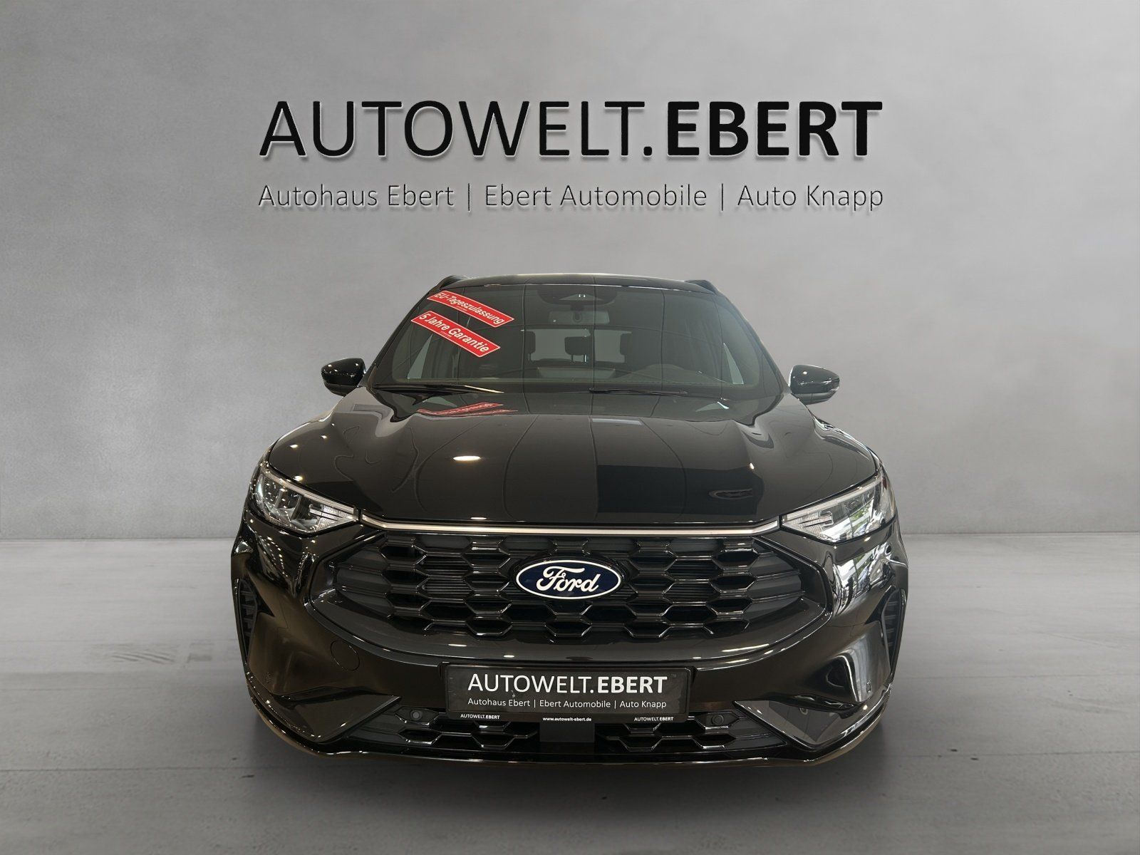 Fahrzeugabbildung Ford Kuga ST-Line FHEV,FGS 3/5 Jahre