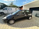 Fiat Punto 1.2 8V - TÜV neu! sparsamer Cityflitzer - Fiat Punto: 1.8