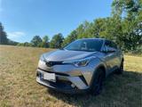Toyota C-HR 1.2-l-Turbo - - Toyota C-HR von privat