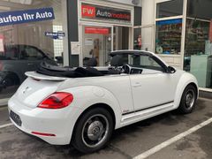 Fahrzeugabbildung Volkswagen Beetle Cabriolet 1,2 TSI Cup