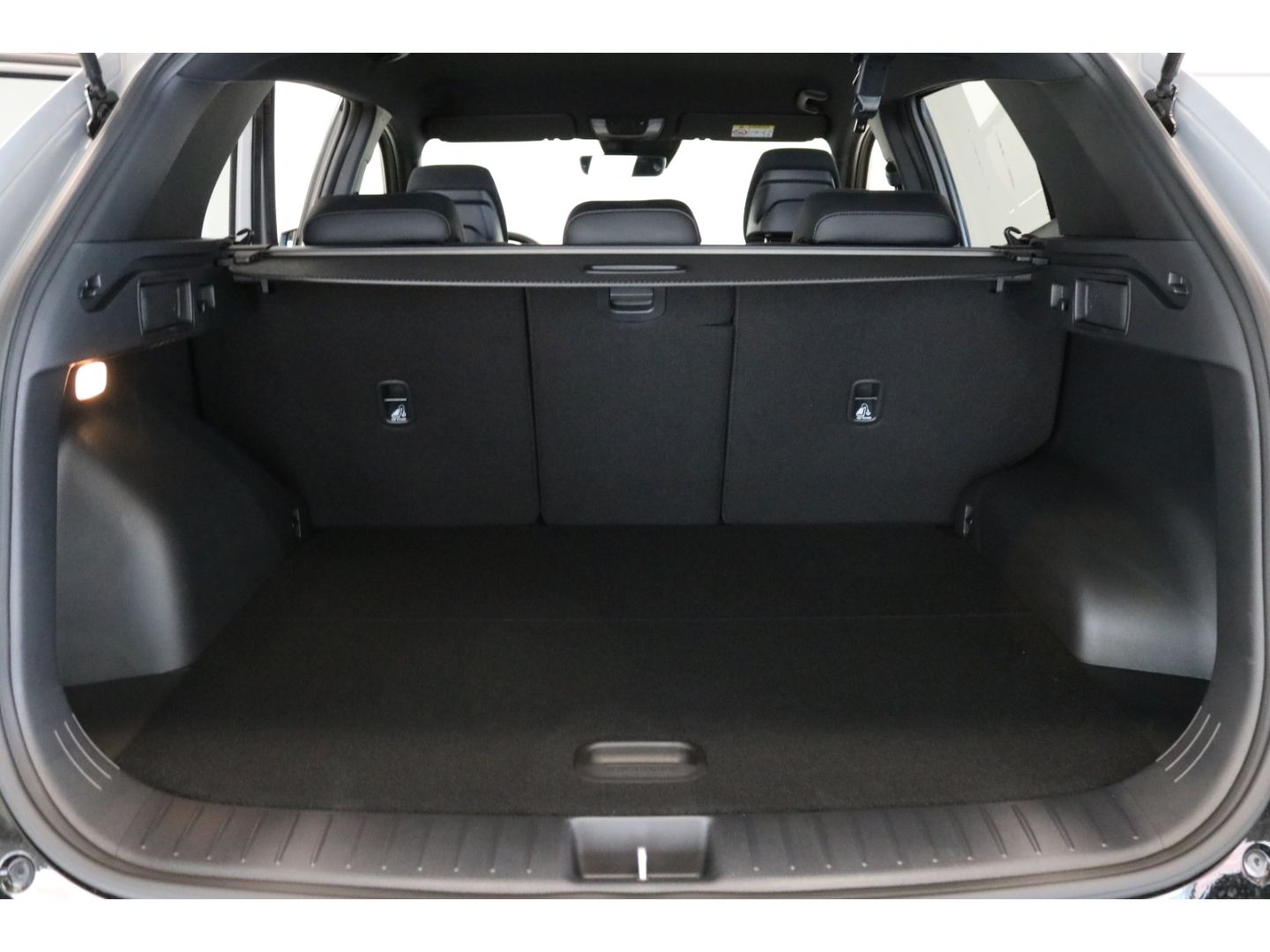 Fahrzeugabbildung Kia Sportage Nightline Edition 1.6 T-GDI Mild-Hybrid