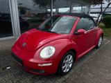 Volkswagen New Beetle Cabriolet 1.4 United Klima - Volkswagen New Beetle mit Benzin-Antrieb: Cabrio, 1.4