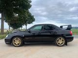 Subaru Impreza WRX STI Blobeye Java Black - Subaru Impreza aus 2003: Wrx