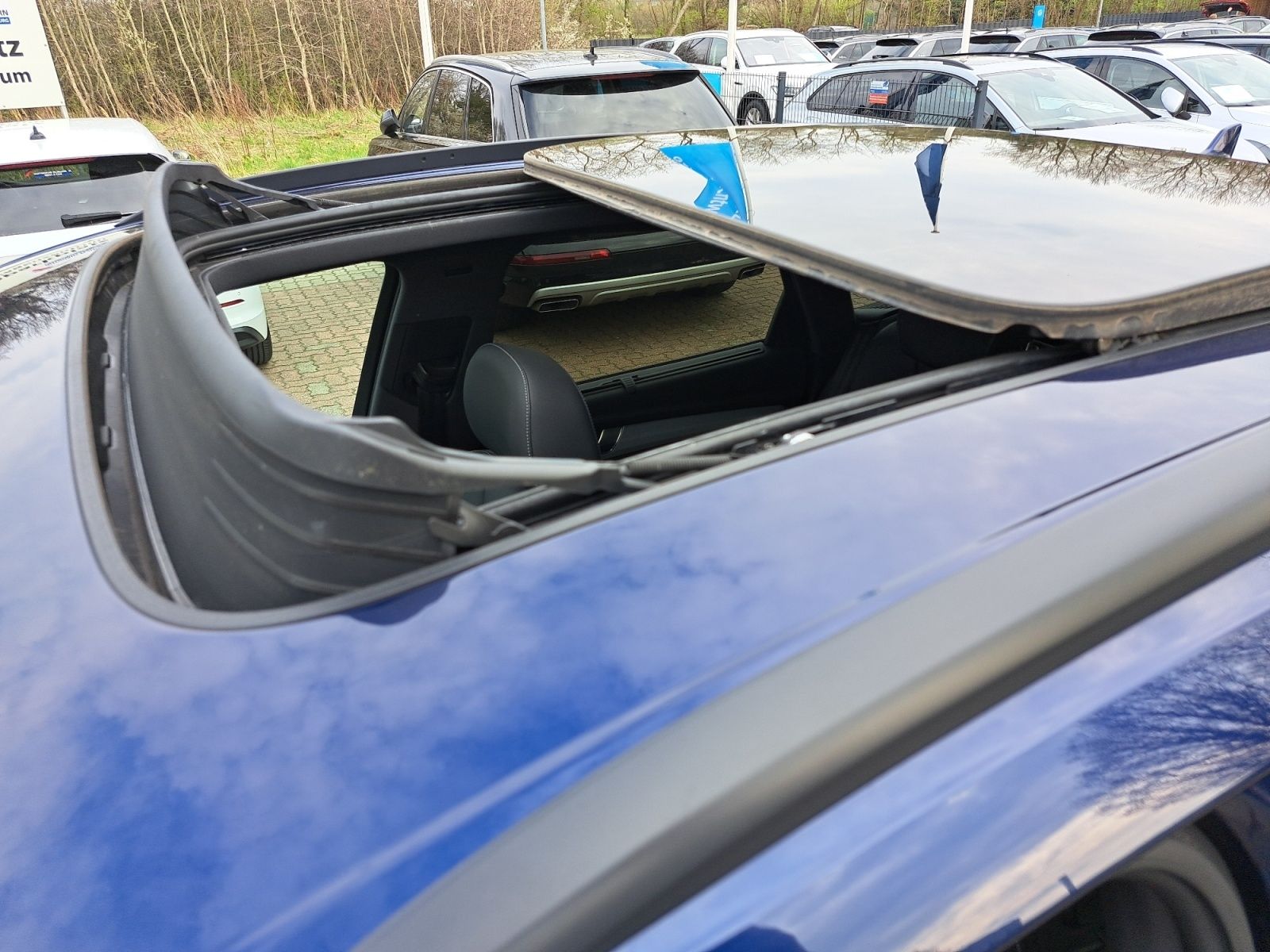 Audi SQ5 - Bild 13