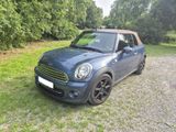 MINI Cooper Cabrio LEDER-SITZE - MINI Cooper Cabrio aus 2011