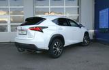 Lexus NX 200t AWD Executive-Line STANDHZ AHK LEDER - Lexus NX 200
