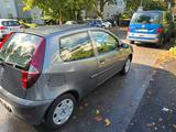 Fiat Punto 1.2 8V Ciao Ciao - Fiat: Ciao