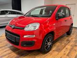 Fiat Panda 1.2 Urban Easy KLIMA.ALU.DAB.PDC.TÜV.NEU - gebrauchte Fiat Panda aus dem Jahr 2019