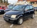 Fiat Panda 1.2 8V Dynamic~Klima~ - Fiat aus 2007