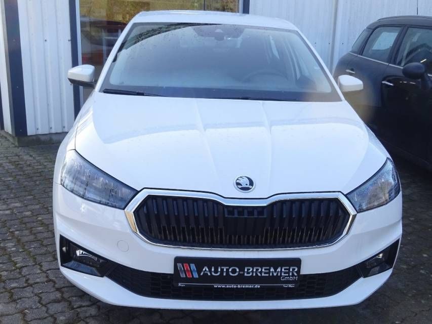 Fahrzeugabbildung SKODA Fabia 1.0 MPI Selection  Klima