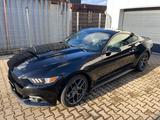 Ford Mustang 2.3 EcoBoost /Sportauspuff/Chip/Brembo - Ford Mustang in Herne