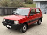 Fiat Panda 1000 4x4 Trekking - gebrauchte Fiat Panda aus dem Jahr 1992