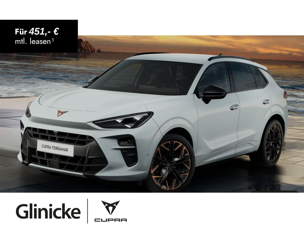 Terramar VZ 2.0 TSI 195 kW DSG 4Drive AHK Sennhe