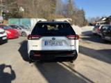 Toyota RAV 4 Plug-in-Hybrid *8-Fach-Bereift* - Toyota RAV 4 mit Hybrid-Antrieb: Allradantrieb