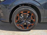 Cupra Terramar - Vorschau Bild 5