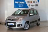 Fiat Panda Lounge 1.2 8V *Klima,LM-Felgen* - Fiat Panda: 1.1