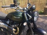 Triumph Scrambler 900 wie neu - TRIUMPH ENDURO SCRAMBLER