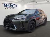 Lexus UX 250 h - Lexus UX Gebrauchtwagen