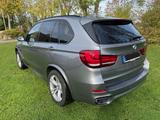 BMW X5 xDrive30d, M-Sportpaket - BMW X5: Xdrive30d M Sport