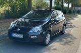 Fiat Punto 1.4 8V Start&Stopp - - Fiat Punto in Frankfurt (Main)