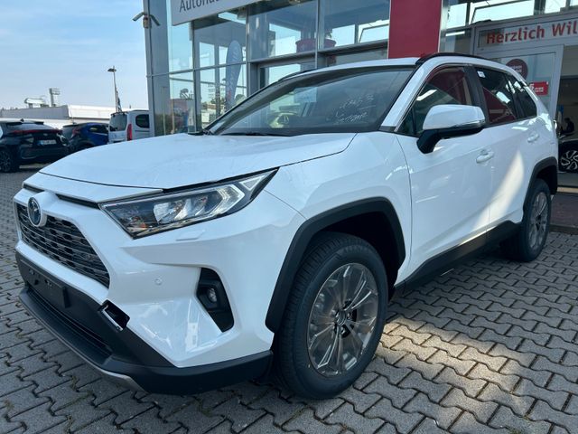 Toyota RAV4 4x4 Hybrid Team Deutschland*Technik Paket