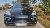 Porsche Cayenne, 1. Hand, Garagenwagen, 8fach bereift - Porsche Cayenne in Hannover