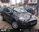 Fiat Punto 1.2 8V Pop *TÜV/ÖLWECHSEL NEU* - Fiat Punto: Pop