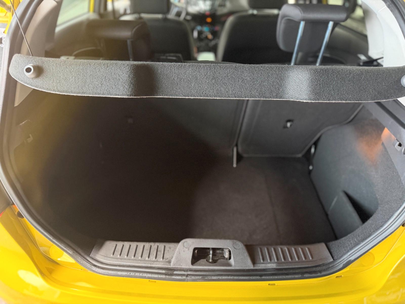 Ford Fiesta Titanium Berganfahrhilfe Winterpaket