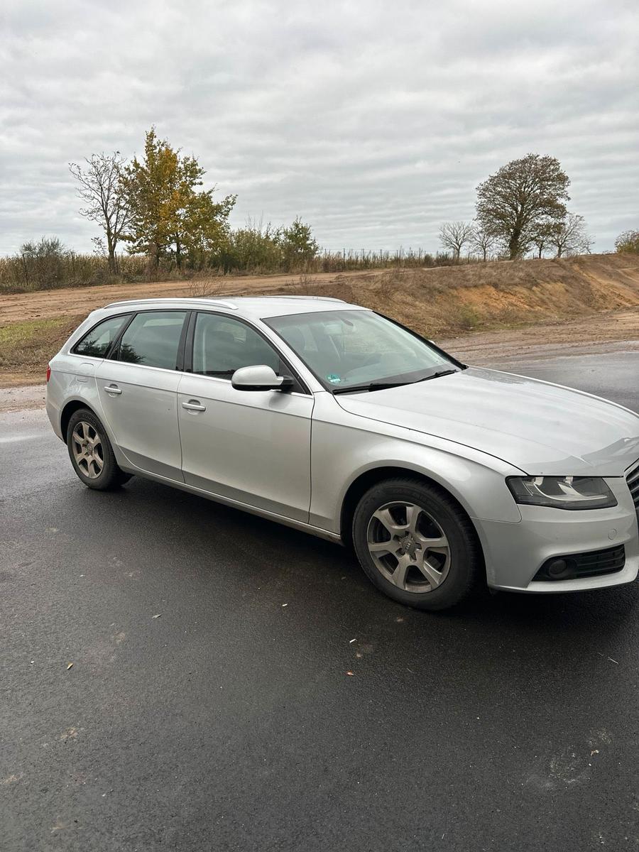 Audi A4 2010 — вигляд ззаду