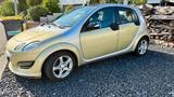 Smart Forfour Sportstyle 122 PS! Brabus Or... - Smart aus 2005: Brabus
