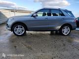 Mercedes-Benz GLE 350 d 4MATIC - - graue Mercedes-Benz GLE 350
