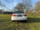 Audi Cabriolet A5 Sportline - Audi Cabriolet mit Benzin-Antrieb: Cabrio