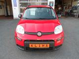 Fiat Panda  -Original Fiat LPG- Klima 1.Hand - Fiat Panda mit LPG-Antrieb