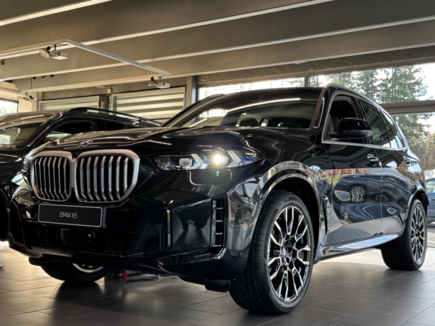 Fahrzeugabbildung BMW X5 xDrive30d M-Sportpaket AHK/DA-PROF/HUD/HK/360