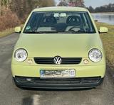 Volkswagen Lupo 1.0 Oxford Oxford - Volkswagen Lupo Oxford mit Benzin-Antrieb