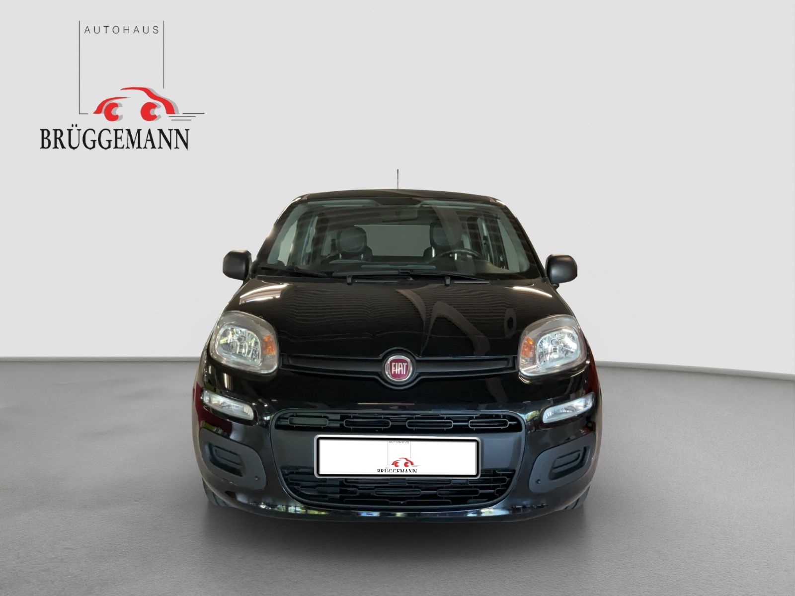 Fahrzeugabbildung Fiat Panda 1.0 Hybrid